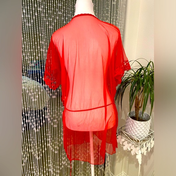 VINTAGE SHEER PEIGNOIR - Picture 4 of 6